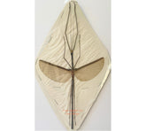 Stick insect sp.13 (Malaysia)